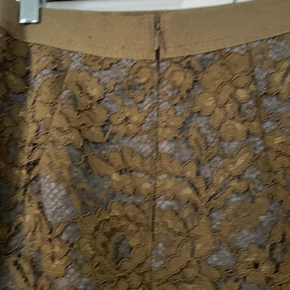 Pencil very sexy mesh skirt with lining from LOFT. - Picture 4 of 9